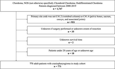 Gross total resection and survival outcomes in elderly patients with spinal chordoma: a SEER-based analysis